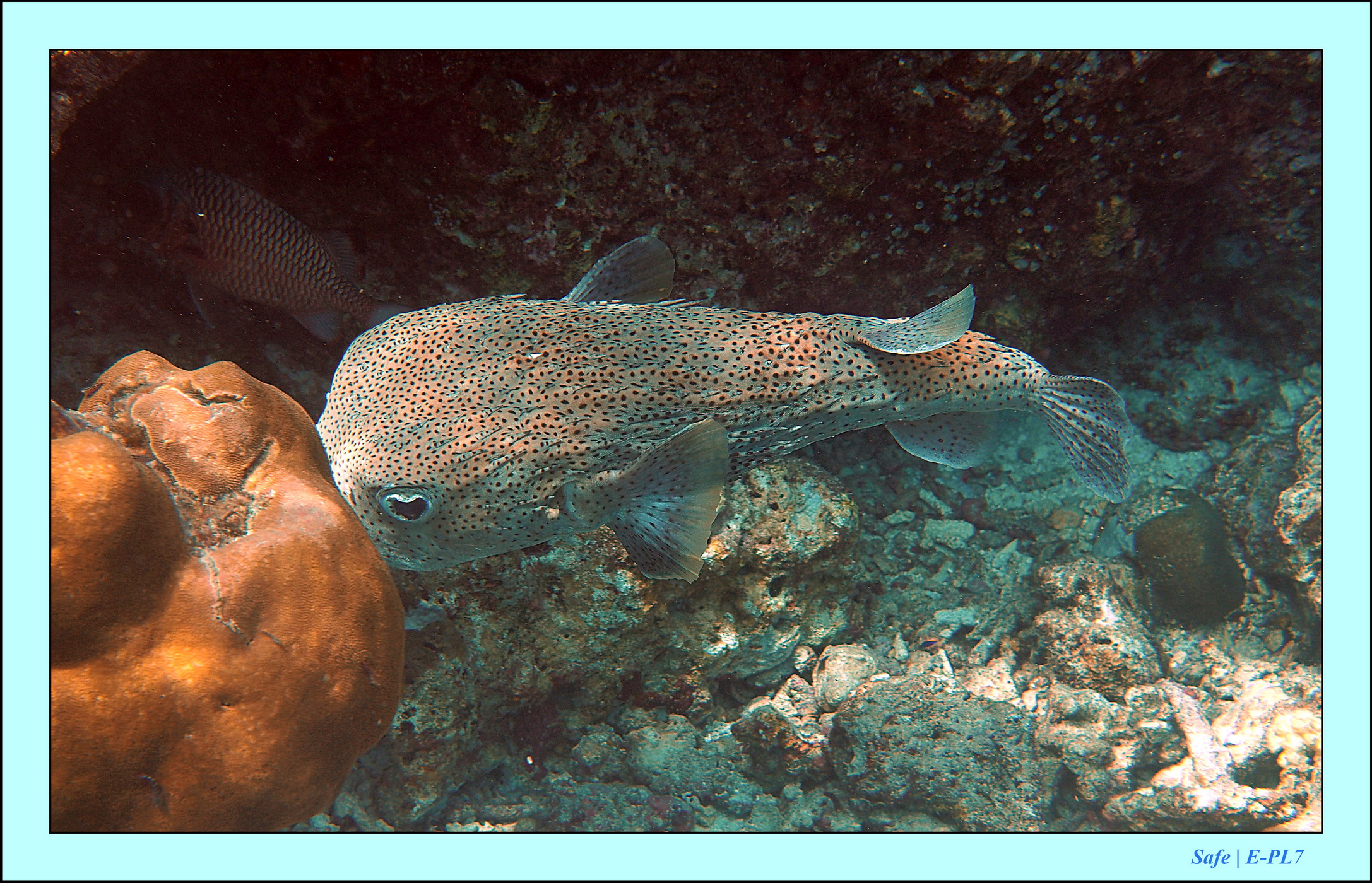 2023 - 07 - Sandies Bathala - 196